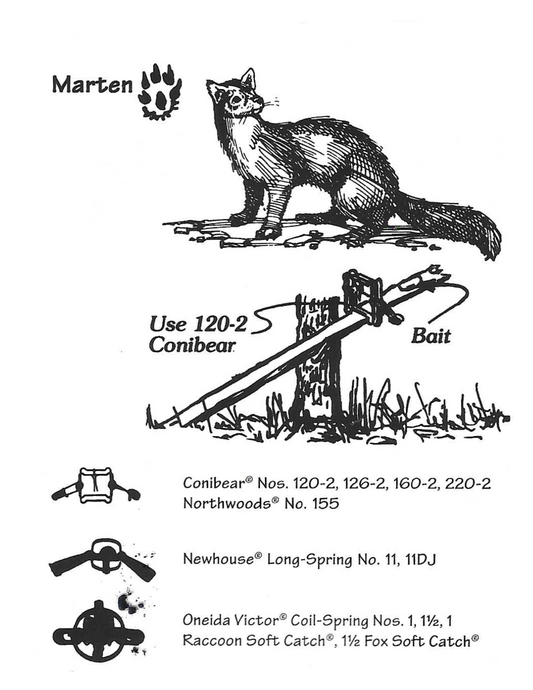 Marten Traps