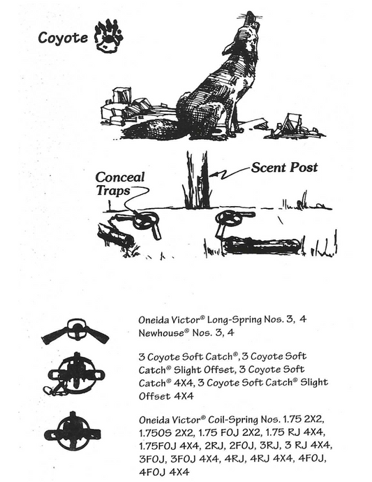 Coyote Traps