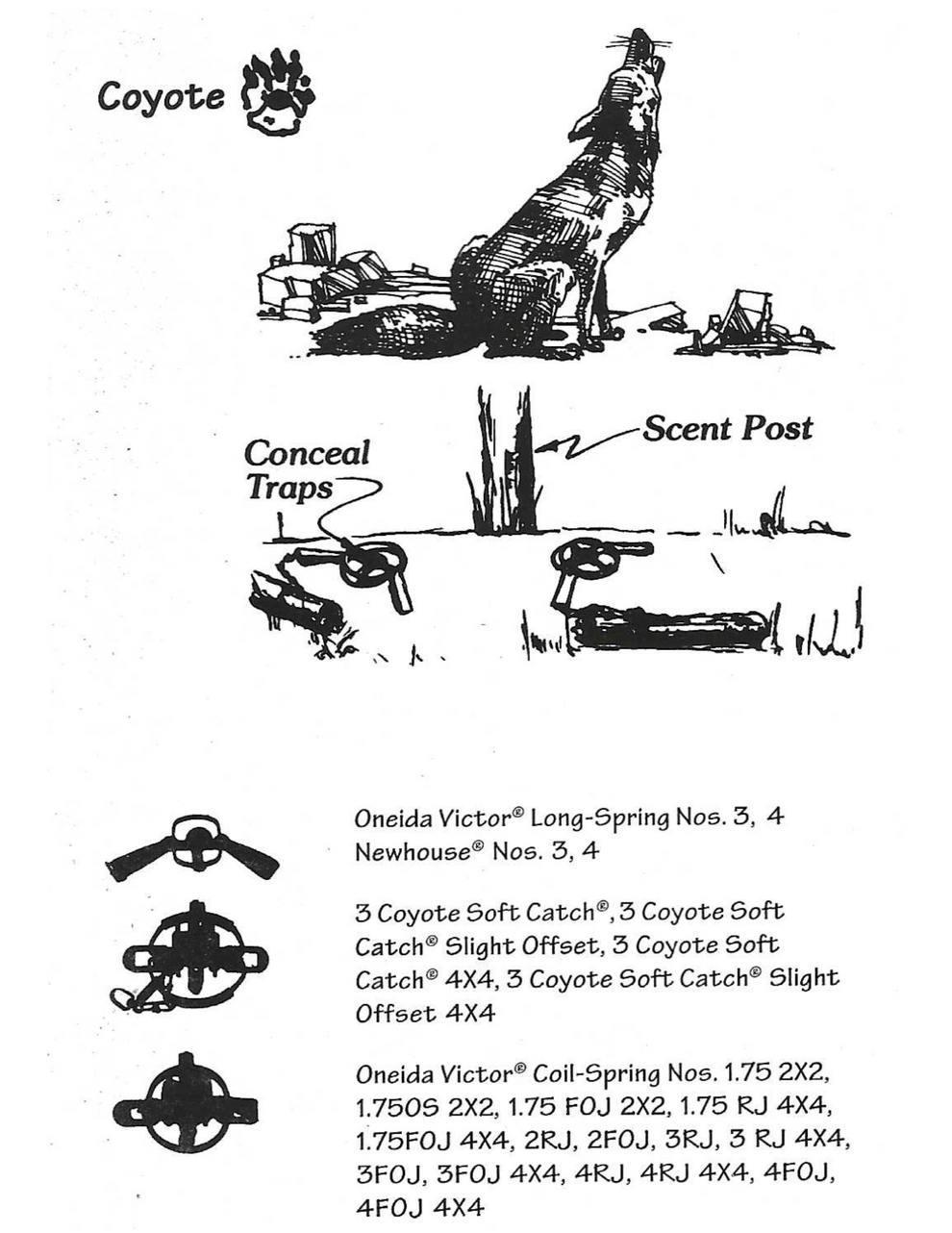 Coyote Traps – Oneida Victor