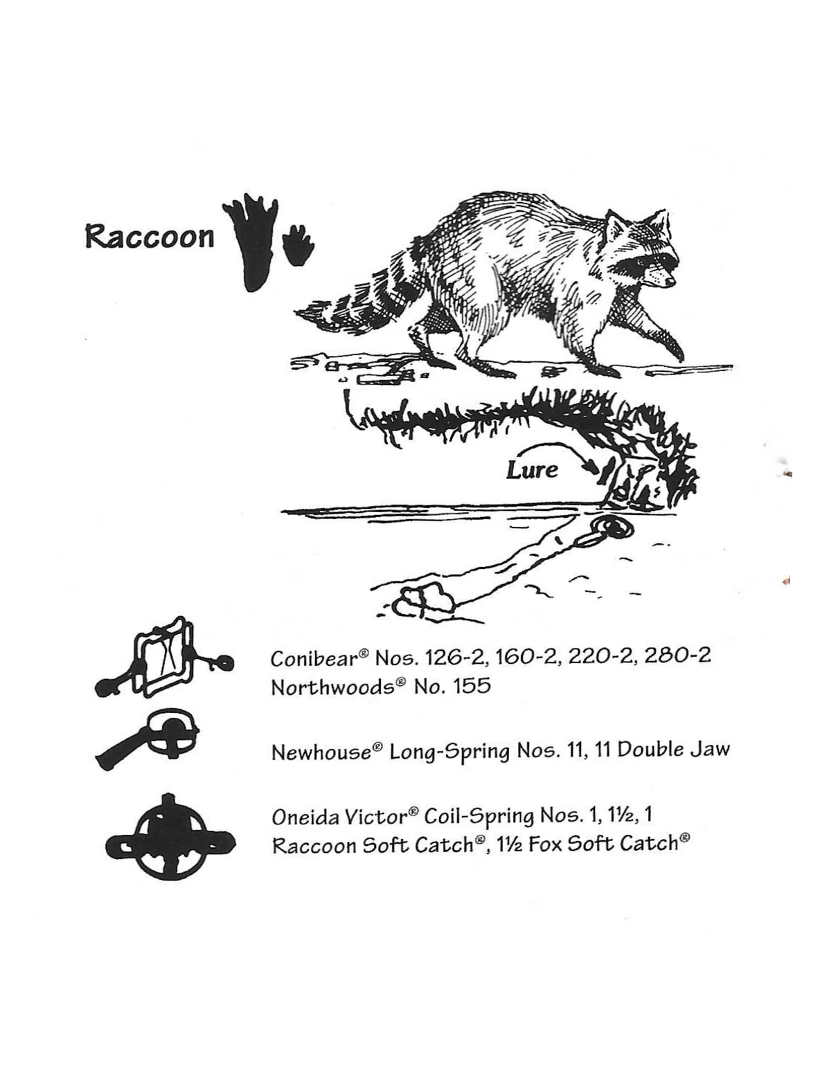 Raccoon Trap – Oneida Victor